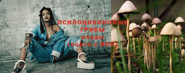 соль ск Зеленодольск