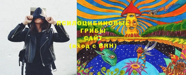 соль ск Зеленодольск