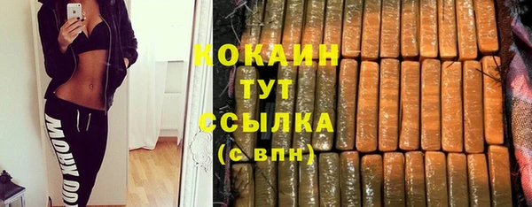 гашик Щучье