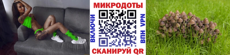 OMG ссылки  Котовск  Псилоцибиновые грибы Cubensis 