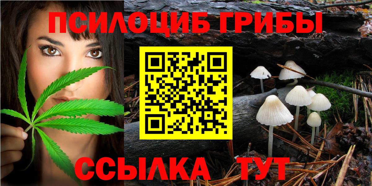 Галлюциногенные грибы Psilocybine cubensis Котовск